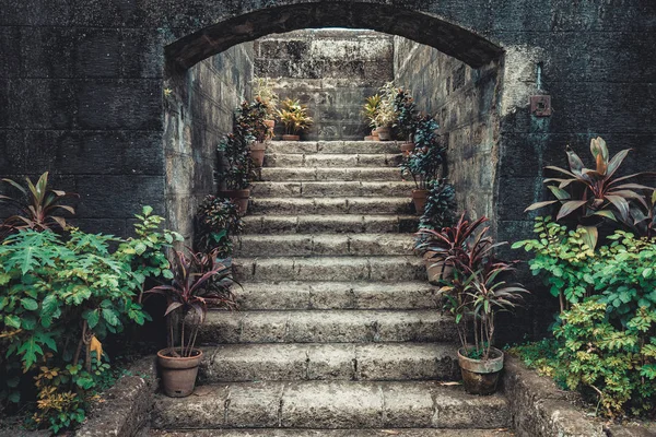 Vintage kamiennymi schodami, w otoczeniu kwiatów doniczkowych. — Zdjęcie stockowe