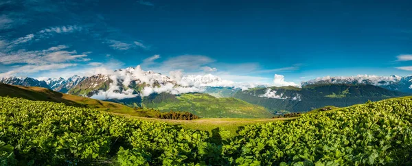 Dağları ile yeşil vadi Panorama. Gürcistan. — Stok fotoğraf