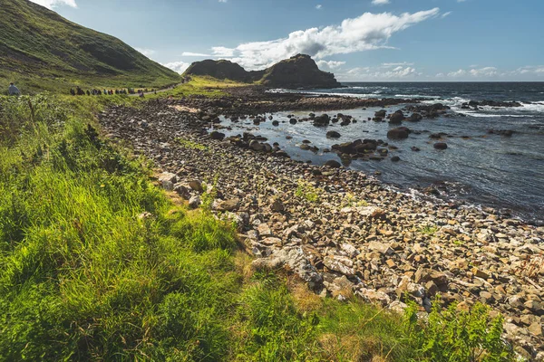 Nahaufnahme der Küste mit den Felsbrocken. irland. — Stockfoto