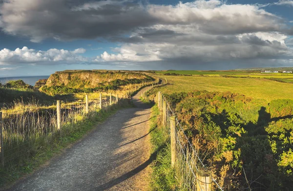 Estrada do campo entre o campo da Irlanda do Norte . — Fotografia de Stock