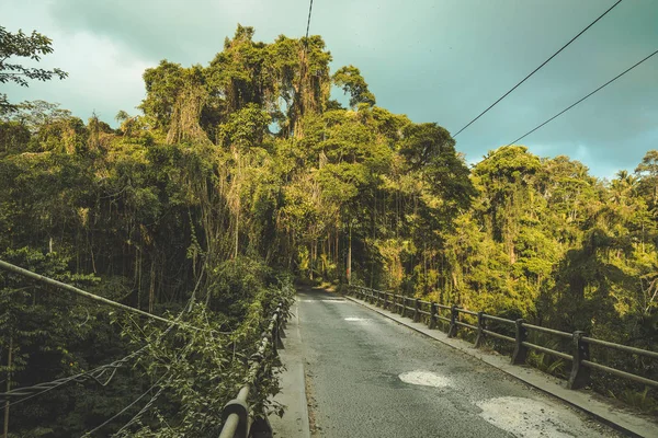 Винтажный мост, ведущий в тропический лес . — стоковое фото