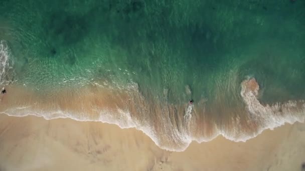 Luftaufnahme rosa Sandstrand und blaues kristallklares Meer — Stockvideo
