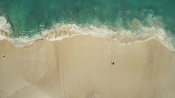 Top-down mening oceaan strand golven break wit zand — Stockvideo