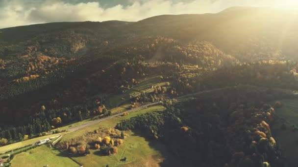 Montanha vale paisagem floresta inclinação aérea vista — Vídeo de Stock