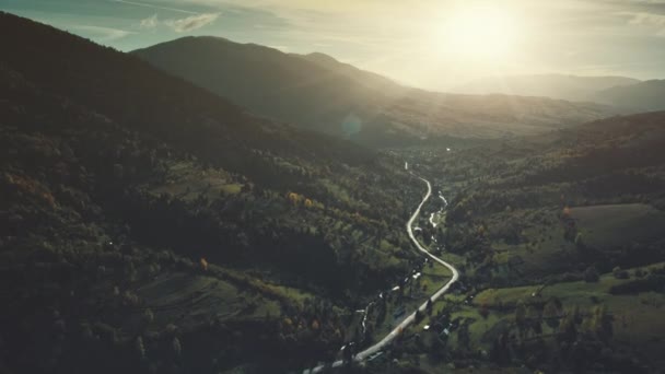 Linda montanha floresta inclinação vista aerail — Vídeo de Stock