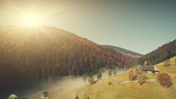 Vida silvestre soleada Highland neblina pendiente vista aérea — Vídeo de stock