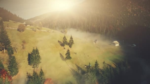 Montaña escarpada vida silvestre bosque pendiente vista aérea — Vídeos de Stock