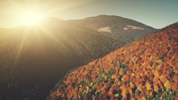 Hösten berg landskap sunrise Flygfoto — Stockvideo