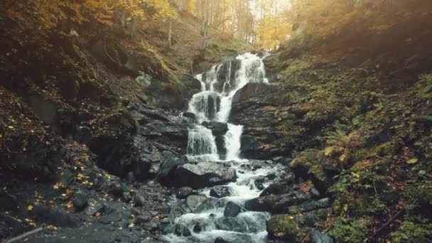 Epické podzimní proudu vodopádu pěna dřevěné horské — Stock video