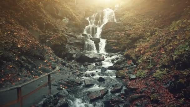 Highland forestry slope foamy waterfall stream — Stock Video