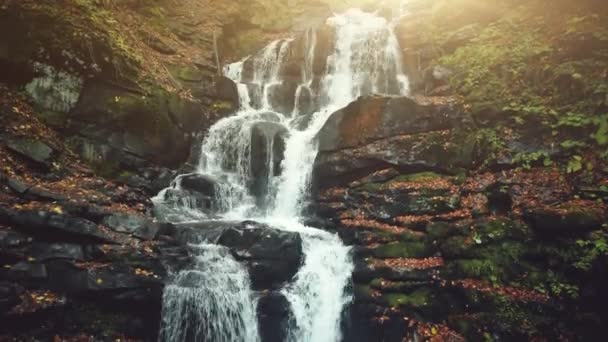 Berg schuimend stream trapsgewijs herfst bos gezicht — Stockvideo