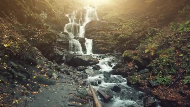 Highland slope waterfall brook golden autumn wood — Stock Video