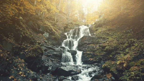 史诗般的秋天的木山泡沫瀑布溪 — 图库照片
