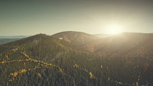 Highland conifères bois rayon de soleil vue aérienne — Photo