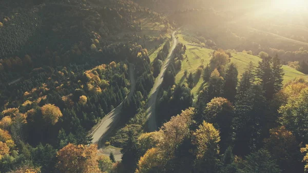 Φθινόπωρο πυκνό δάσος τοπίο εναέρια θέα στο βουνό — Φωτογραφία Αρχείου