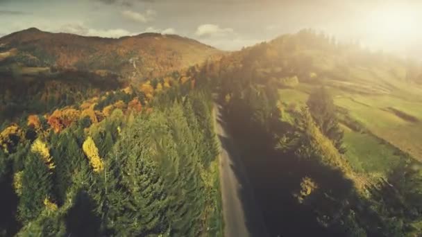 Mångfärgade bergiga trä landskap antenn utsikt — Stockvideo