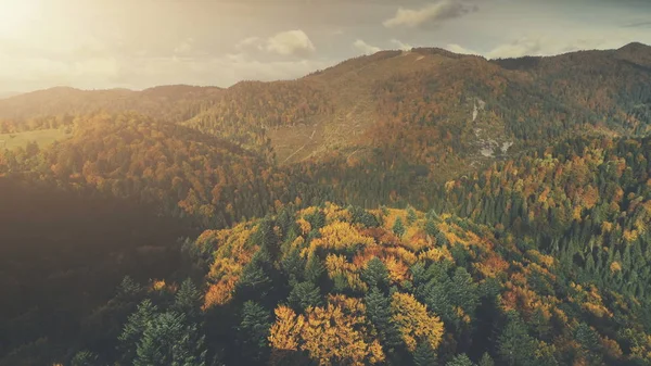 Majestätiska mount naturen skog landskap Flygfoto — Stockfoto