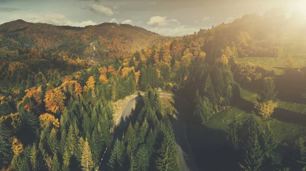 Färgglada steniga landskapet tät skog Flygfoto — Stockfoto