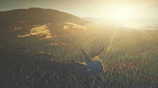 Panoramische berg bosbouw helling Dawn luchtfoto — Stockfoto