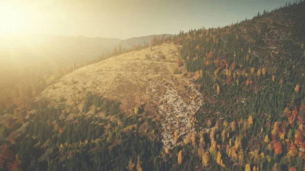 Highland ormansızlaşma yumuşak güneş ışını havadan görünümü — Stok fotoğraf