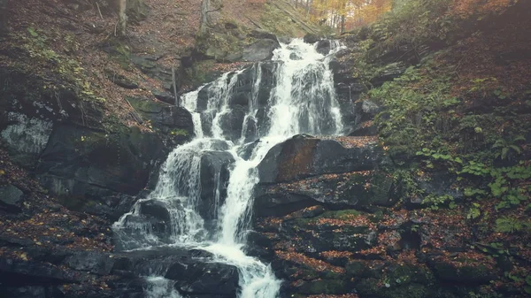 Rocky foamy waterfall stream forest landscape — Stock Photo, Image