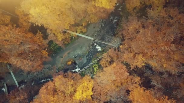 Musim gugur dedaunan hutan pemandangan sungai udara — Stok Video