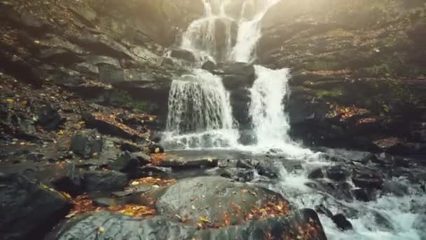 Klar Gebirgsbach Wasser Kaskade Herbst Laub — Stockvideo