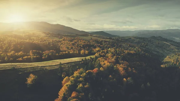 Majestic Forest Hill yta landskap antenn utsikt — Stockfoto