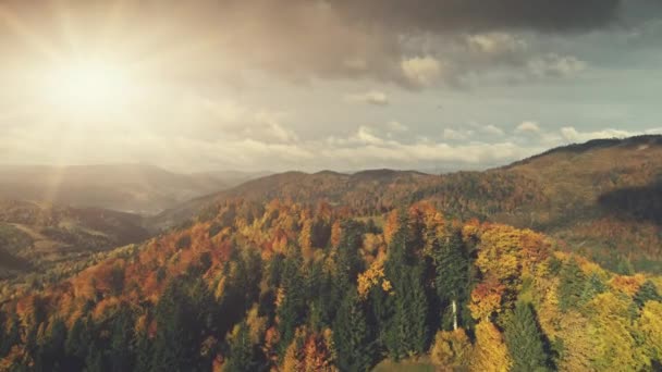 Cárpatos montaña otoño paisaje vista aérea — Vídeos de Stock
