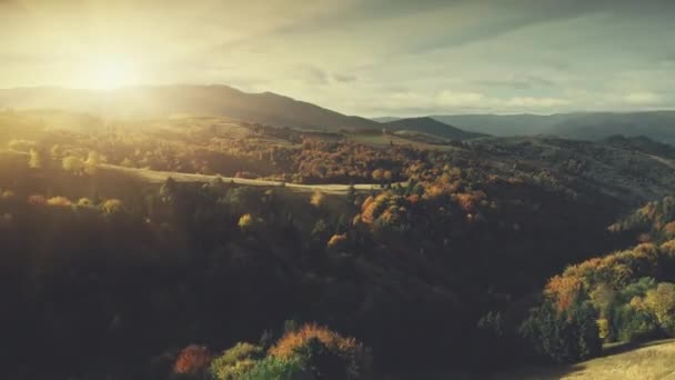 장엄한 숲 언덕 표면 풍경 조감도 — 비디오