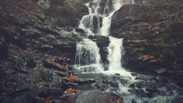 Rocky montanha córrego superfície Outono madeira vista — Vídeo de Stock
