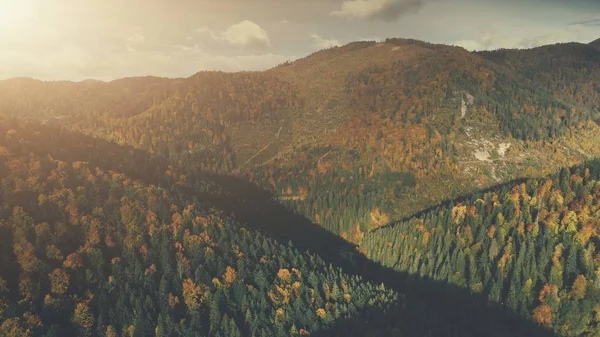 Sonbahar yoğun orman dağ manzara havadan görünümü — Stok fotoğraf