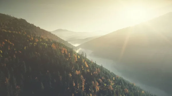 Многоцветные горные леса с туманным склоном вид с воздуха — стоковое фото
