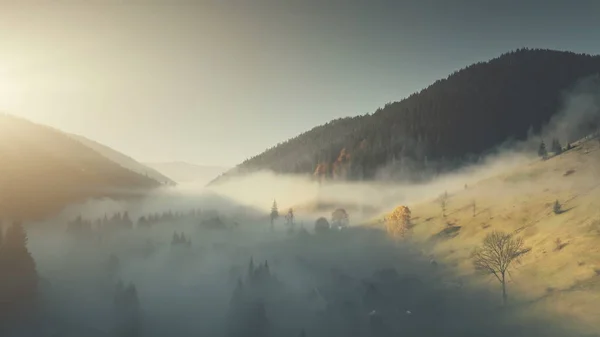 Epische Kette Hügel Wald Hang Landschaft Luftaufnahme — Stockfoto