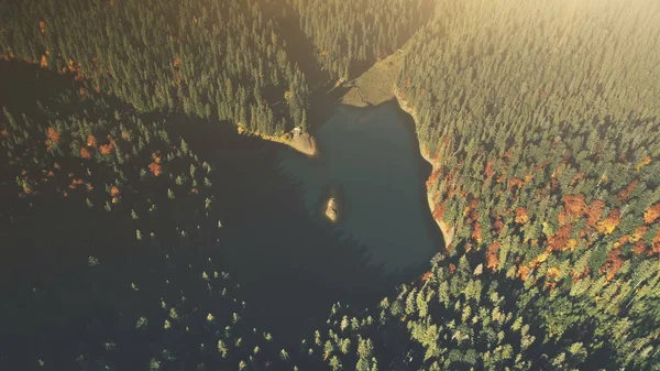 Hooggebergte zonsopgang hout scène luchtfoto Meerzicht — Stockfoto