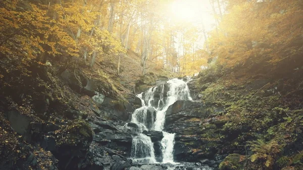 Schneller schäumender bergiger Waldwasserfall — Stockfoto