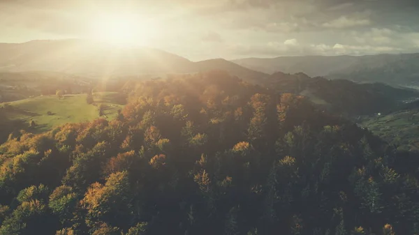 Dichter Wald bergige Landschaft Landschaft Luftaufnahme — Stockfoto