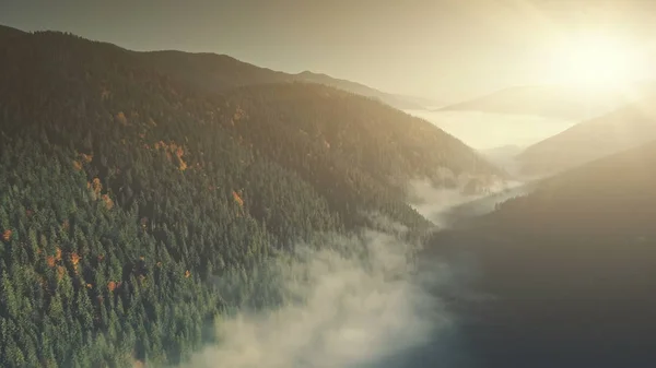 안개 낀 산 침 엽 수 숲 언덕 공중 보기 — 스톡 사진