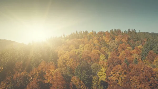 Барвистий гірський ліс вид зверху на повітря — стокове фото