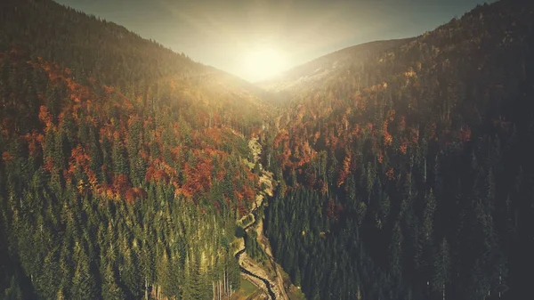 มุมมองทางอากาศของหุบเขาป่าสูงหลายสี — ภาพถ่ายสต็อก