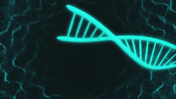 Κινούμενα γραφικά του μοντέλου DNA που κινείται στο χώρο γυρίζοντας — Αρχείο Βίντεο