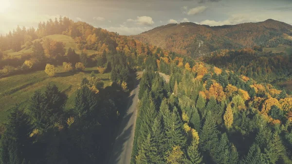 Majestätische Berg Natur Wald Landschaft Luftaufnahme — Stockfoto