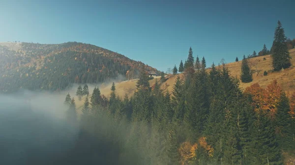 Vahşi doğa yayla sisli sahne havadan görünümü — Stok fotoğraf