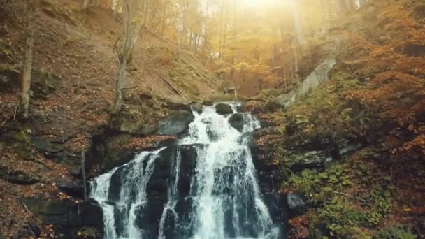 Majestätischer goldener Herbst Gebirgswasserfall — Stockvideo