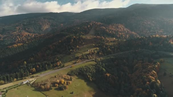 Graue Asphaltstraße umgeben von Mischwäldern, die von der Sonne erleuchtet werden — Stockvideo