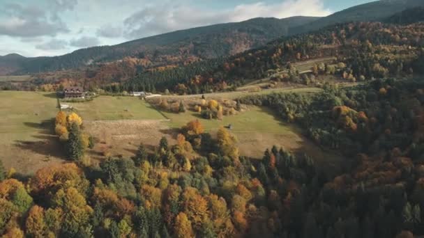 Lejrbygninger blandt grønne enge ved tætte blandede skove – Stock-video