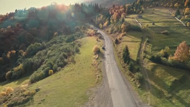 Automobiles sur route asphaltée grise éclairée par la lumière du soleil d'automne — Video