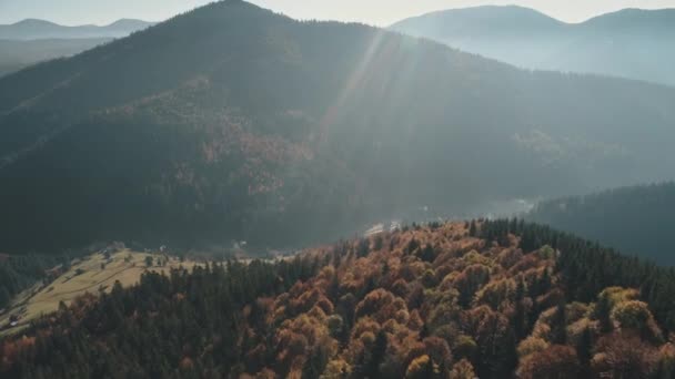 Verdes colinas forestales marrones con prados amarillos en el valle — Vídeos de Stock