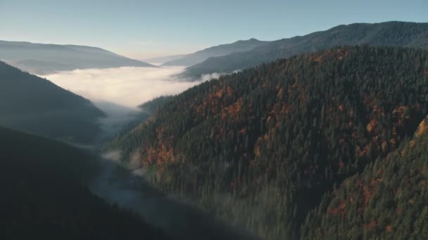 Weiße große Nebelwolke umgeben von grünen Waldhügeln — Stockvideo