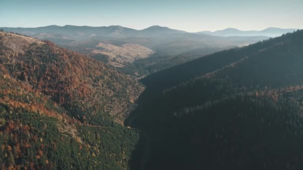 Florestas montanhosas mistas iluminadas pela luz solar contra colinas pictóricas — Vídeo de Stock